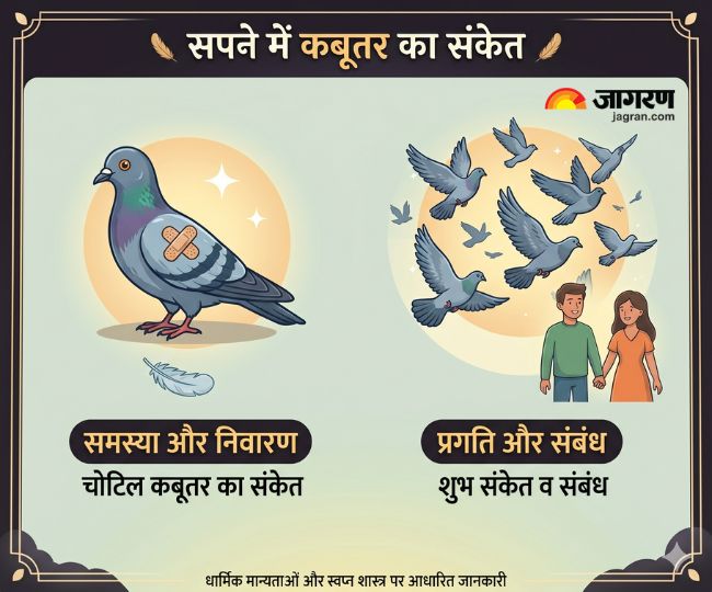 सपने में कबूतर का संकेत